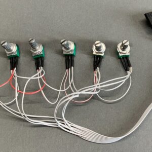 6 Potentiometer Harness (100k) for D5 and D6 CPU Cards